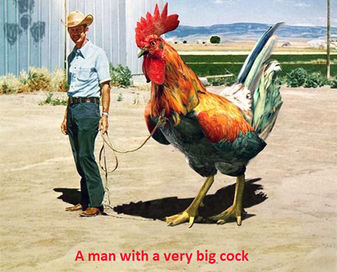 Március 15 - Forradalom és a kakasok